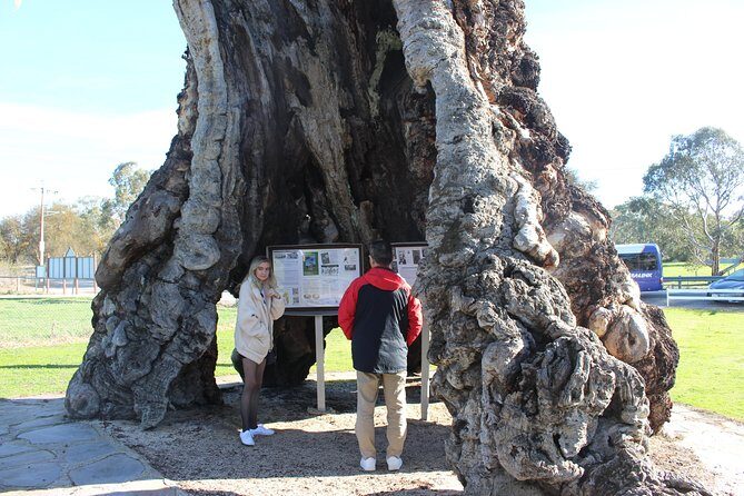 Barossa and Hahndorf Day Trip from Adelaide Including Wine Tasting and Lunch - Key Points
