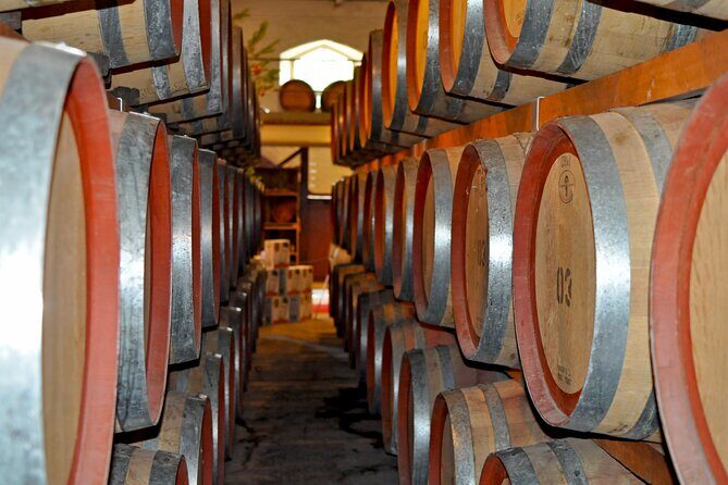 Barossa and Hahndorf Wine Tasting and Sightseeing Tour - An Introduction to the Tour Experience