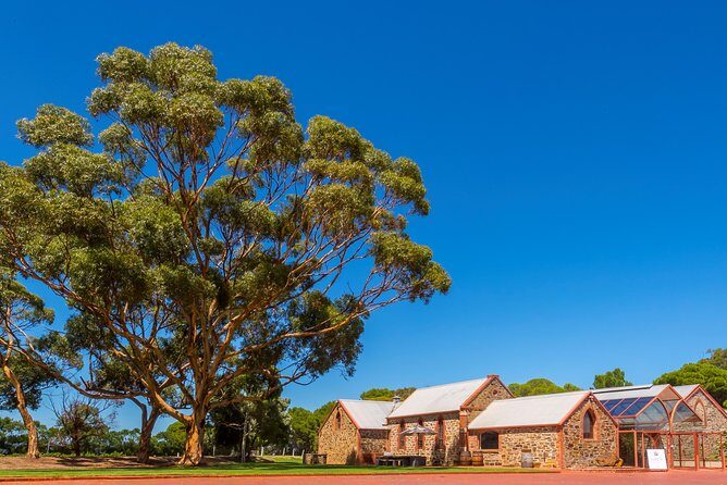 Barossa and Hahndorf Wine Tasting and Sightseeing Tour - What the Reviews Say