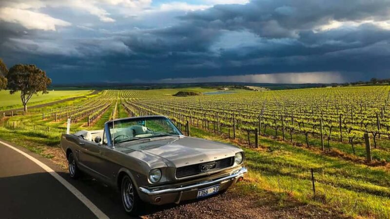 Barossa Food & Wine Trail in a Classic 1966 Mustang - Exploring the Itinerary in Detail