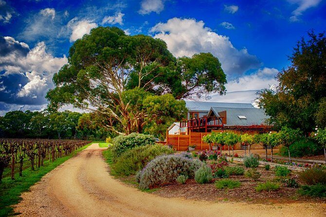 Barossa Full Day Wine Tour - Price and Value