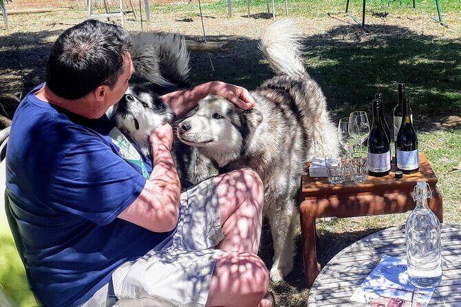 Barossa Private Wine Tour - A Detailed Look at the Tour Experience