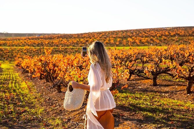 Barossa Small Group Wine Tours with Wine Tasting and Lunch - An In-depth Look at the Tour Experience