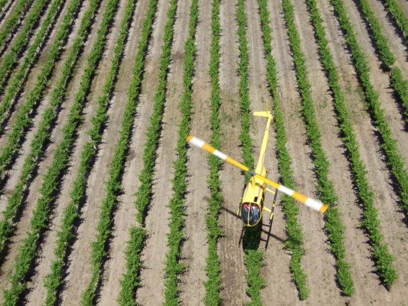 Barossa Valley: 10-Minute Scenic Helicopter Flight - The Route and What Youll See