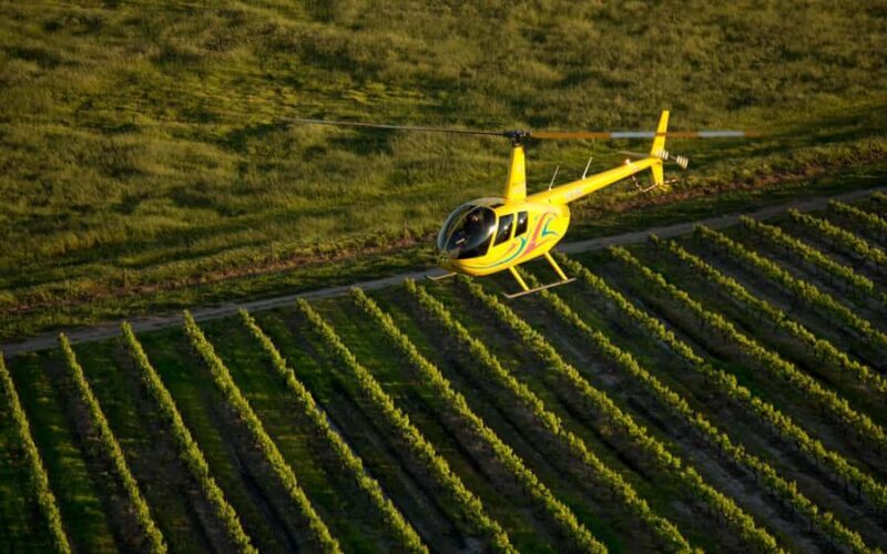 Barossa Valley: 20-Minute Scenic Helicopter Flight - The Experience in Detail