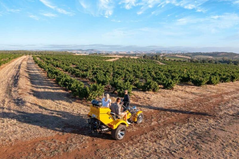 Barossa Valley: 3.5hr Trike Tour For 2 - The Sum Up