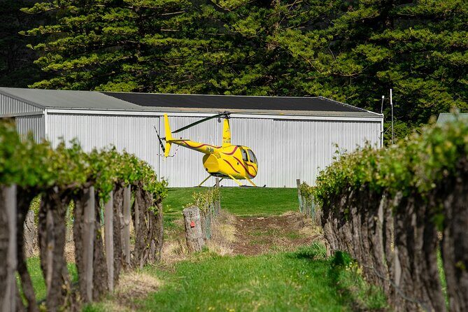 Barossa Valley Deluxe: 30-Minute Helicopter Flight - Final Thoughts: Is It Worth It?
