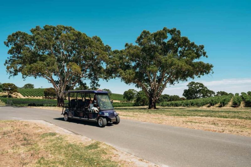 Barossa Valley: EcoVine Explorer - e-cart vineyard tour - The Sum Up