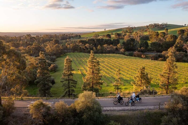 Barossa Valley: Gourmet Food and Wine E-Bike Tour - Key Points