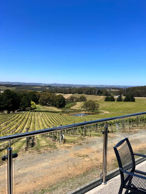 Barossa Valley: Gourmet Food & Wine Tour with Cheese Tasting - Unique Stops with Memorable Experiences