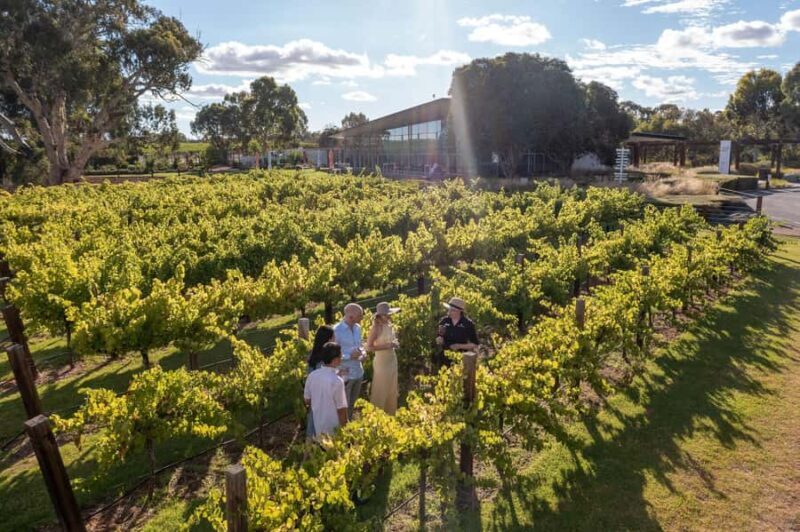 Barossa Valley: Jacob's Creek Perfect Picnic - The Value Proposition