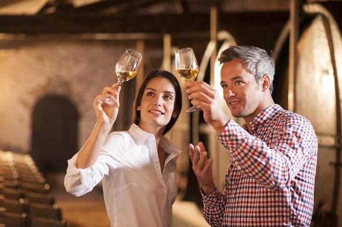 Barossa Valley Shared Wine Tour , Visit Henschke and Yalumba - Key Points