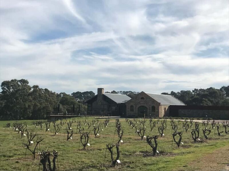 Barossa Valley: Small Group Wine Tour (Includes Lunch) - Authentic Experiences Reported by Guests