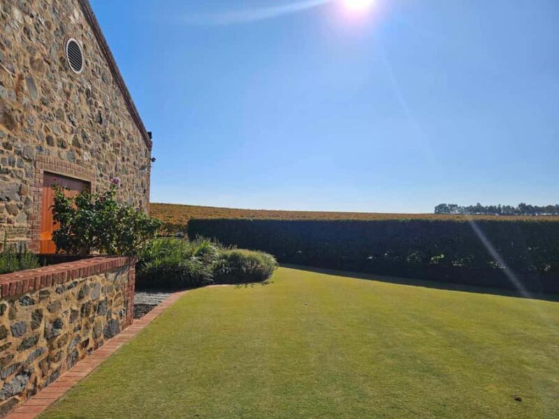 Barossa Valley Wine Tour - Transport, Timing, and Group Experience