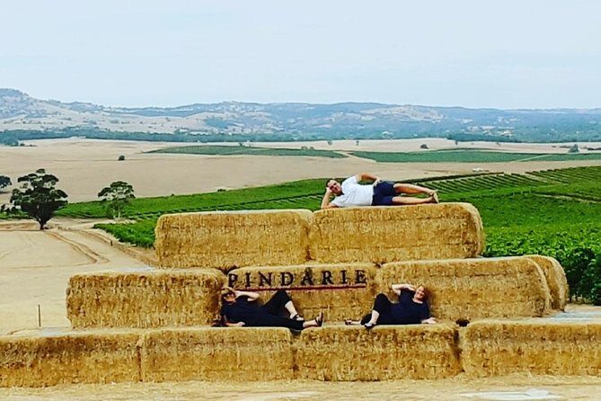 Barossa Wine Tasting shared tours - Final Thoughts