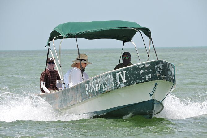 Barracuda Fishing Day Cancun - An In-Depth Look at the Barracuda Fishing Experience in Cancun