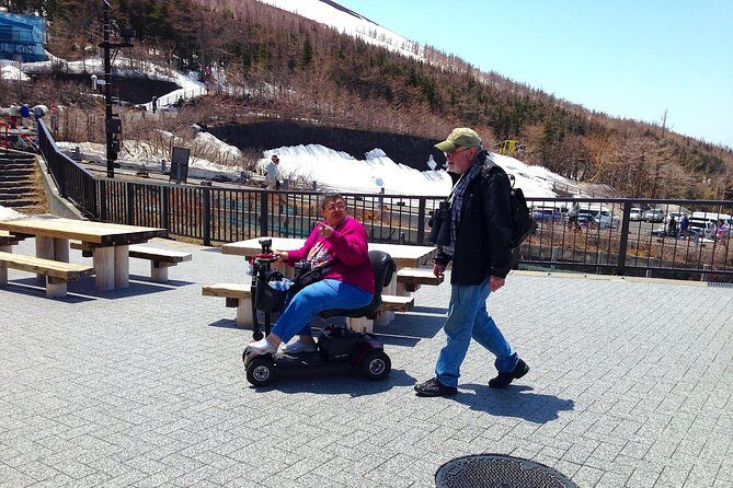 Barrier-Free Private Mt. Fuji Tour for Wheelchair Users - Authentic Experiences & Guest Feedback