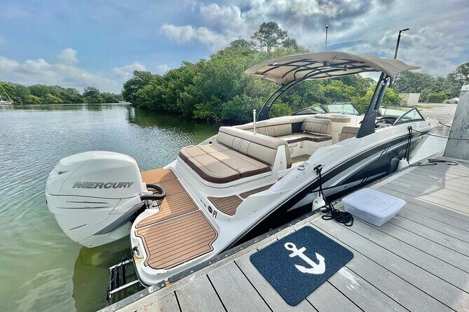 Barrier Island, Shelling and Dolphin Tour in St Petersburg, Fl - FAQ