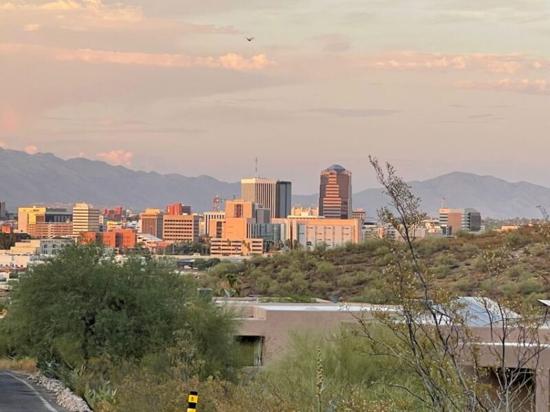 Barrio Viejo Tucson Walking Tour & Scott Avenue with Guide - The Sum Up
