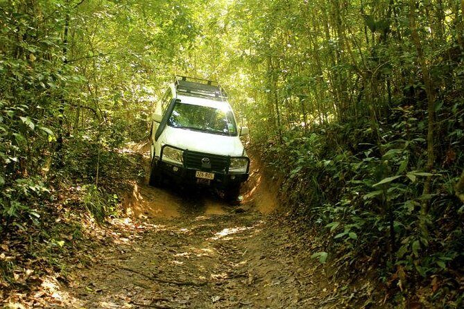 Barron Gorge and Kuranda National Park Half Day Rainforest and Waterfall 4WD Tour from Cairns - Introduction to the Tour