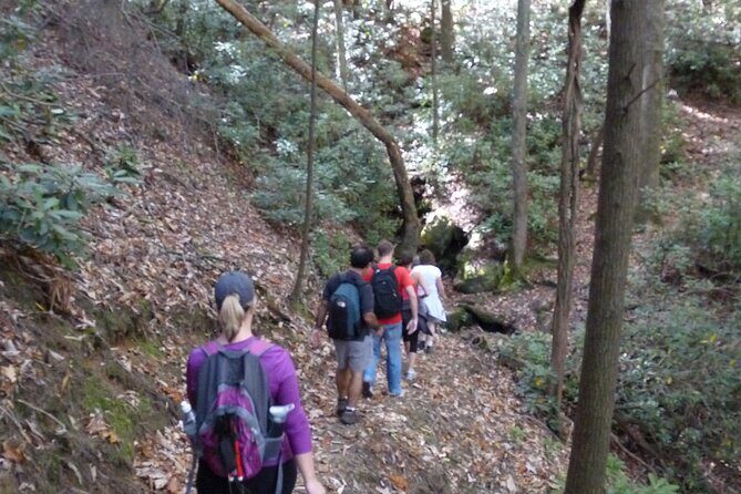 Bartram Trail Hike plus Wine Tasting - Key Points