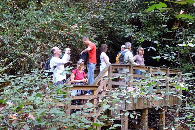 Bartram Trail Hike plus Wine Tasting - Practical Details and What to Expect