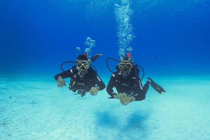 Basic Diver - Bautismo - What to Expect From the Basic Diver - Bautismo Experience