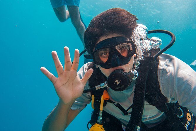Basic Diver - Bautismo - The Sum Up