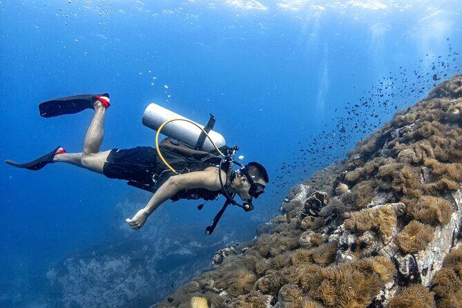 Basic Diver ( One Day Experience) - Introduction