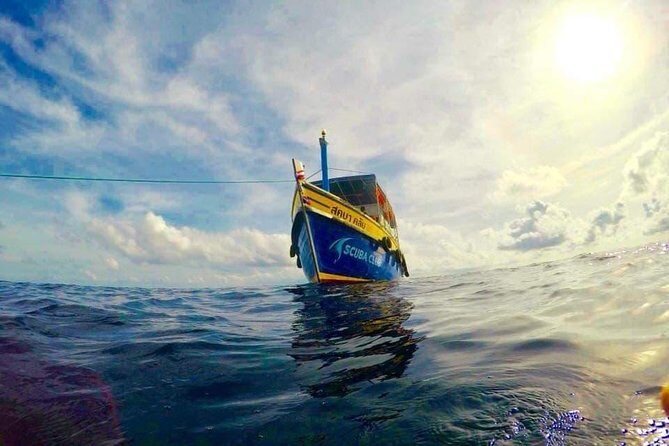 Basic Diver ( One Day Experience) - Key Points