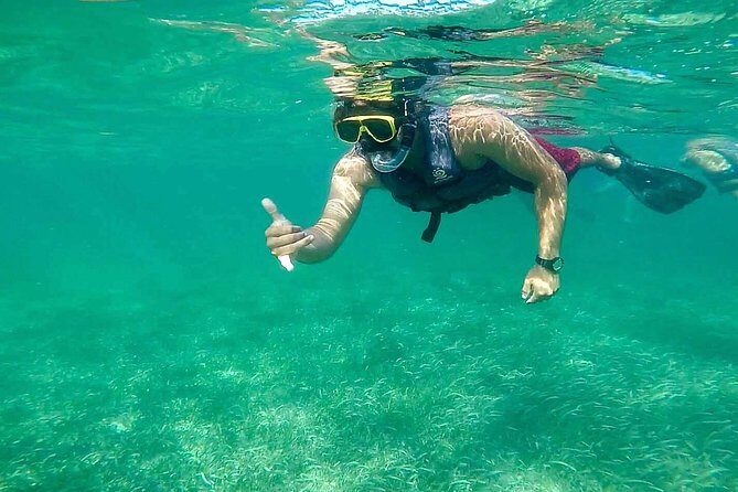 Basic Snorkel Experience In Cancun - Exploring the tour: what to expect and what makes it special