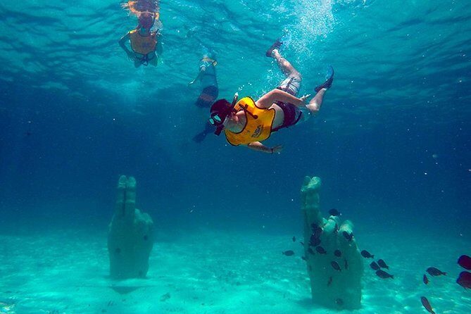 Basic Snorkel Experience In Cancun - Who will love this tour?