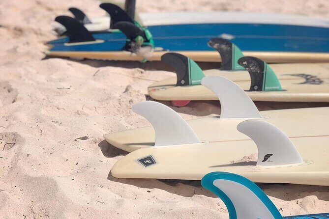 Basic Surf Lessons in Tulum - Pricing and Value