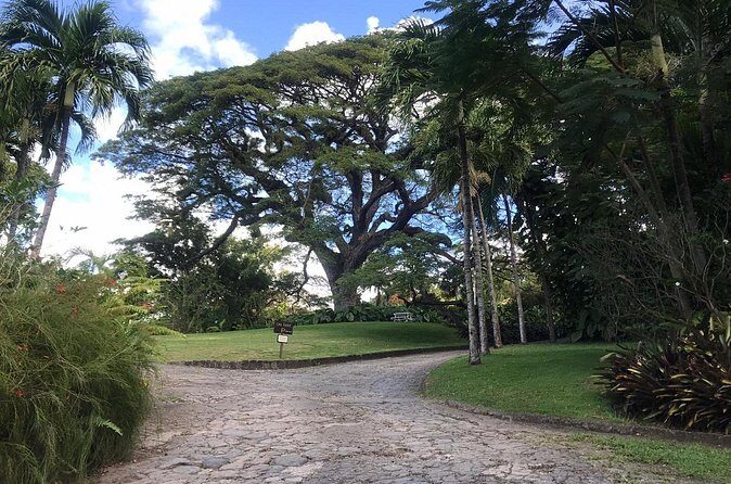 Basseterre Half Day Tour - What Do Travelers Say?