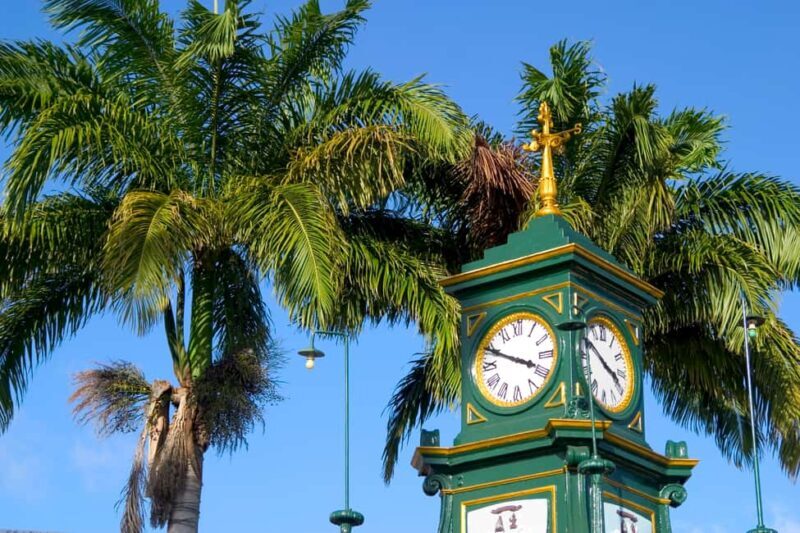 Basseterre: Highlights Capital and Beach Tour - The Practicalities