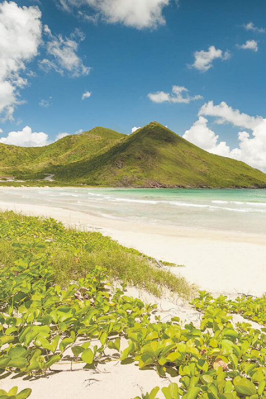 Basseterre: Highlights Capital and Beach Tour - A Final Word on Value and Suitability