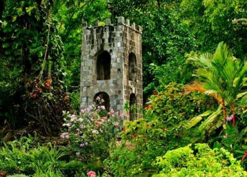 Basseterre: Plantation and Beach Extravaganza - An Overview of the Tour Experience