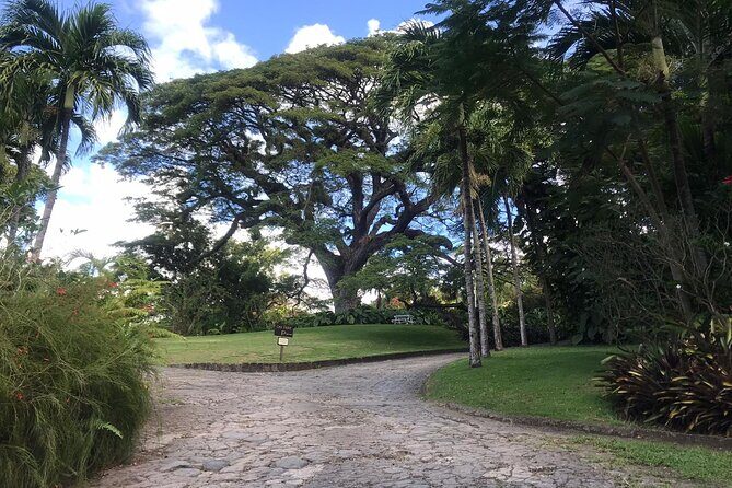 Basseterre Plantation Private Half Day Tour - Final Thoughts