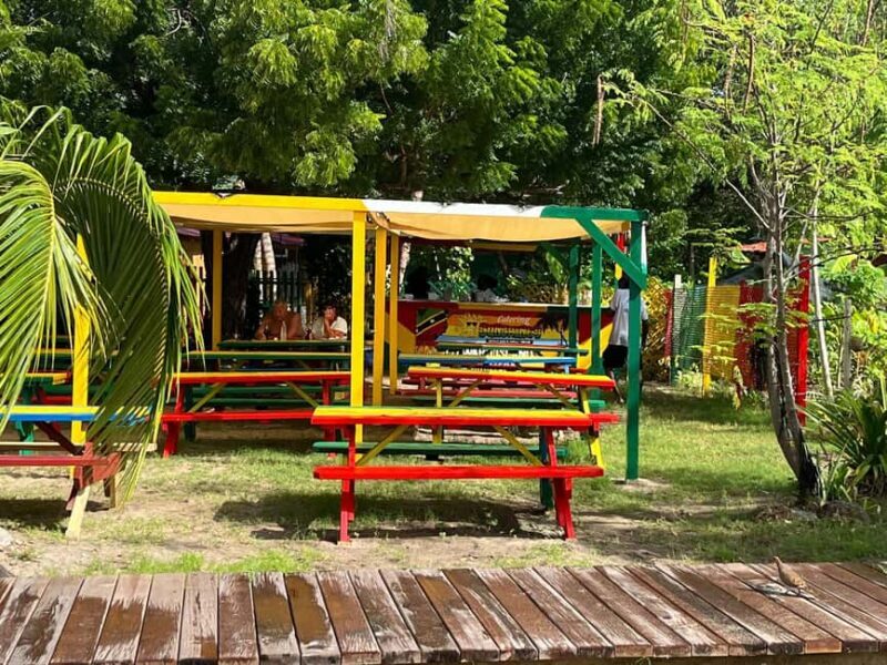 Basseterre: St. Kitts and Nevis Catamaran Tour with Lunch - Final Thoughts: Is This Tour Right for You?