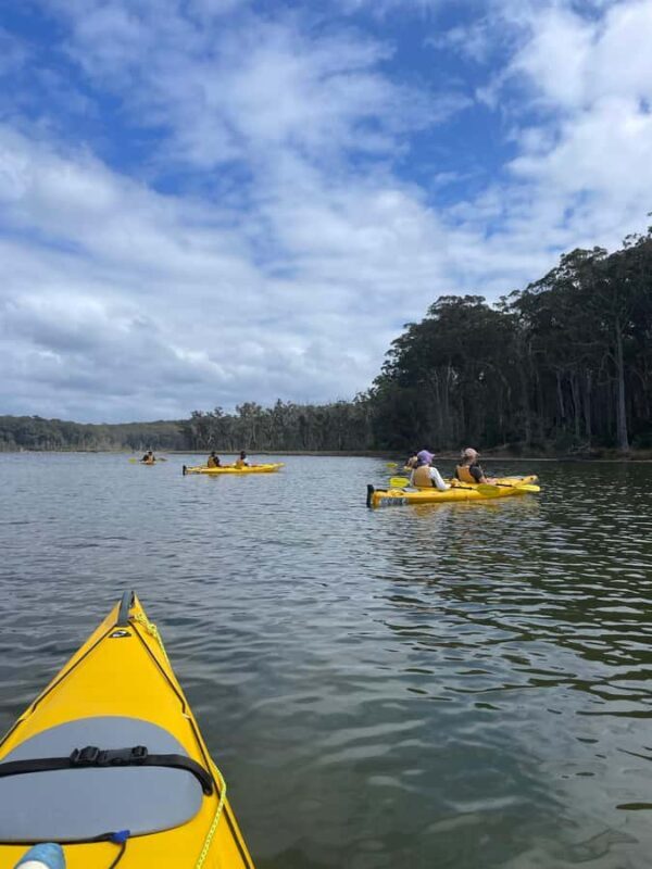 Batemans Bay: 3-Day Murramarang South Coast Walk - The Experience in Review