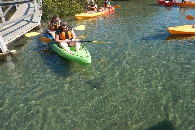 Batemans Bay Glass-Bottom Kayak Tour Over 2 Relaxing Hours - A Transparent Look at Batemans Bay’s Glass-Bottom Kayak Adventure