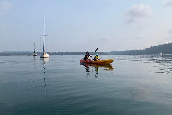 Batemans Bay Glass-Bottom Kayak Tour Over 2 Relaxing Hours - FAQ
