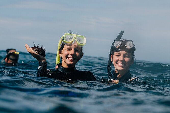 Batemans Bay Glass-Bottom Kayak Tour Over 2 Relaxing Hours - Final Thoughts