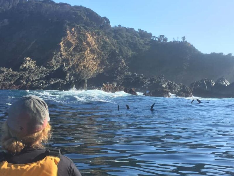 Batemans Bay: Half-Day Sea Kayak Tour - Introduction to the Batemans Bay Kayak Experience