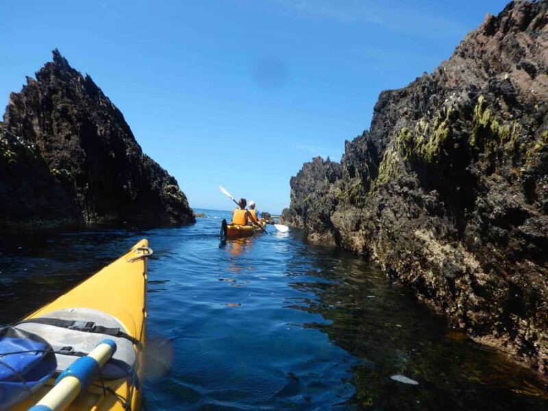 Batemans Bay: Half-Day Sea Kayak Tour - The Itinerary in Detail