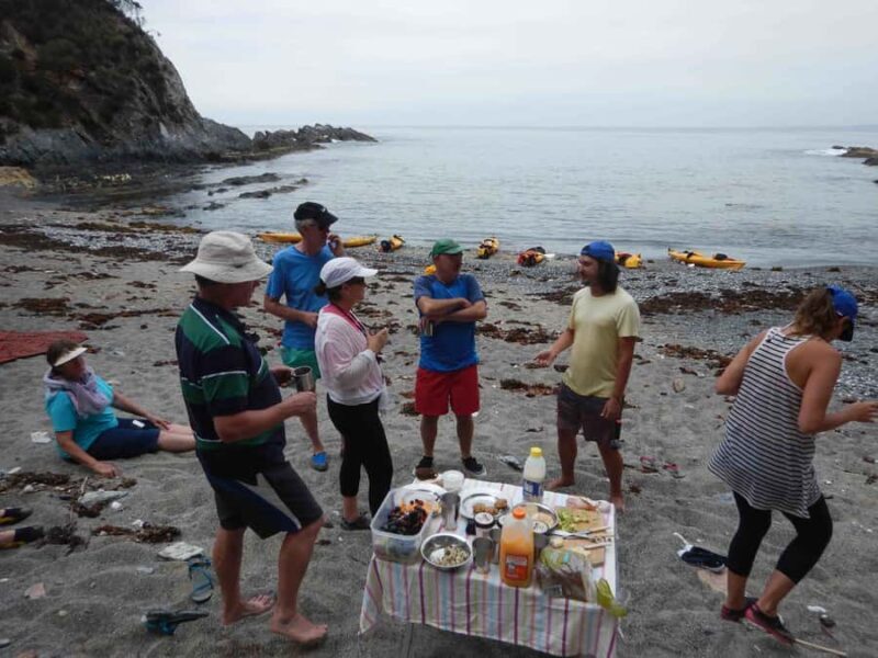 Batemans Bay: Half-Day Sea Kayak Tour - Who Will Love This Tour?