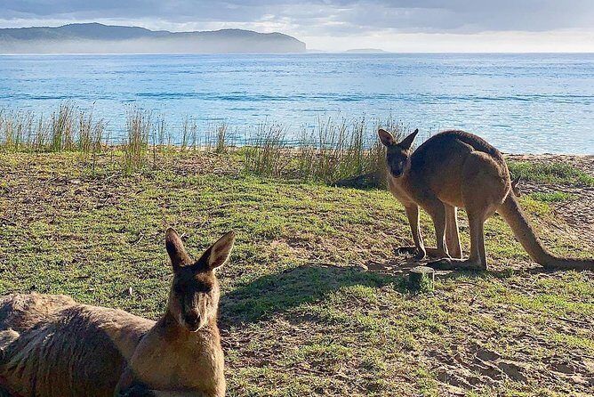 Batemans Bay Overnight Kayak Camping Tour from Canberra - All Inclusive - Detailed Breakdown of the Itinerary