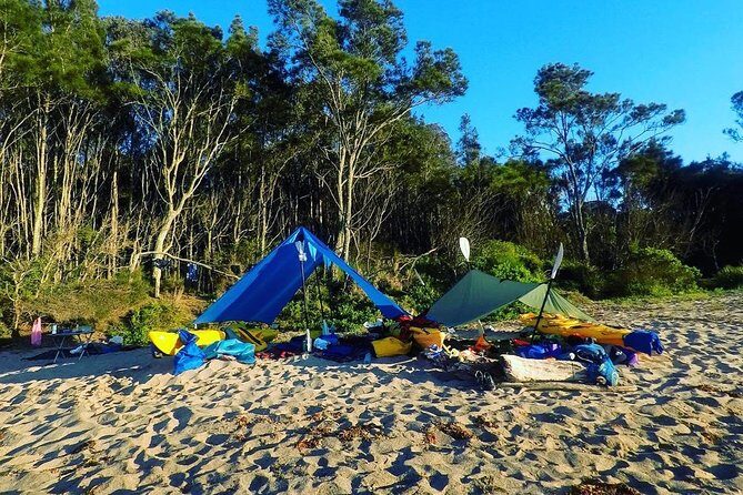Batemans Bay Overnight Kayak Camping Tour from Canberra - All Inclusive - Authentic Experiences and Traveler Feedback