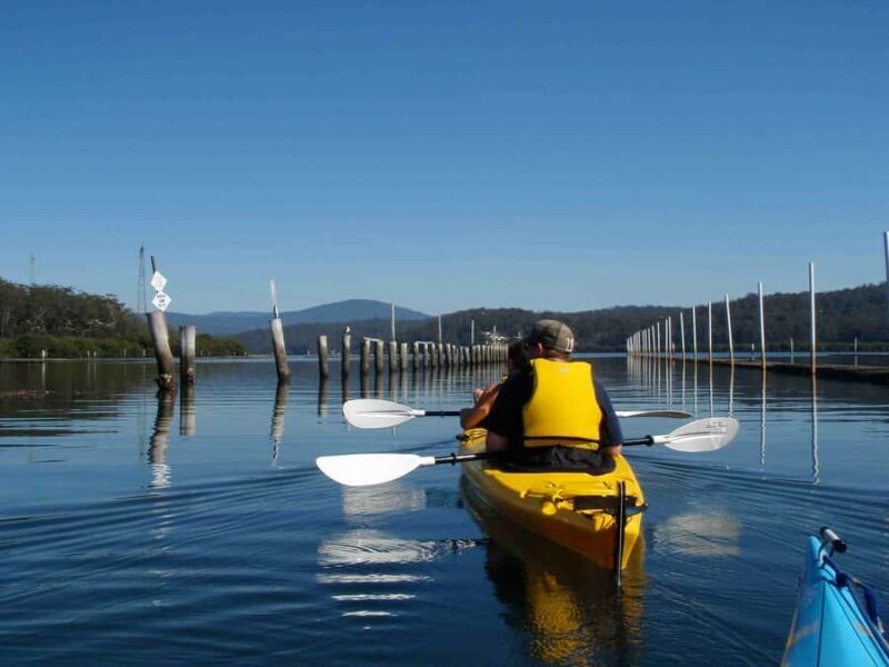 Batemans Bay: Oyster Tasting Kayak Tour - Key Points