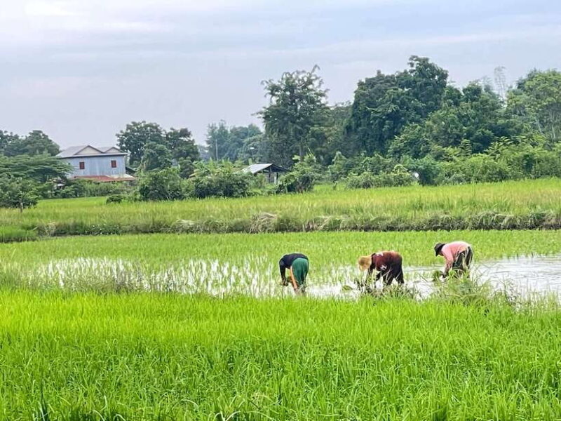 Battambang: Bamboo Train, Bat Cave and Killing Cave Tour - What to Bring and Tips for Travelers